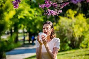Magnétisme pour les allergies au pollen